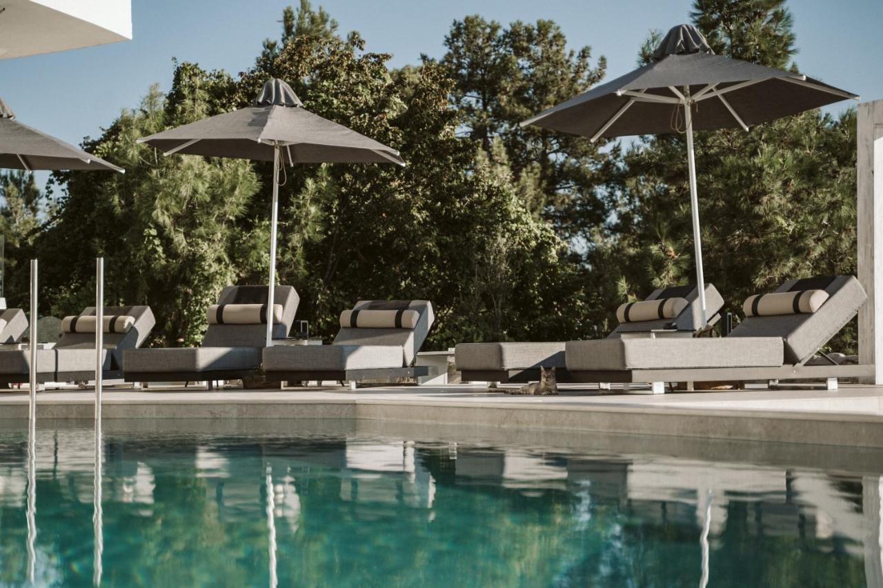 Akrotiri Olympus Luxury Suites - Adults Only Plaka Litochorou Luaran gambar